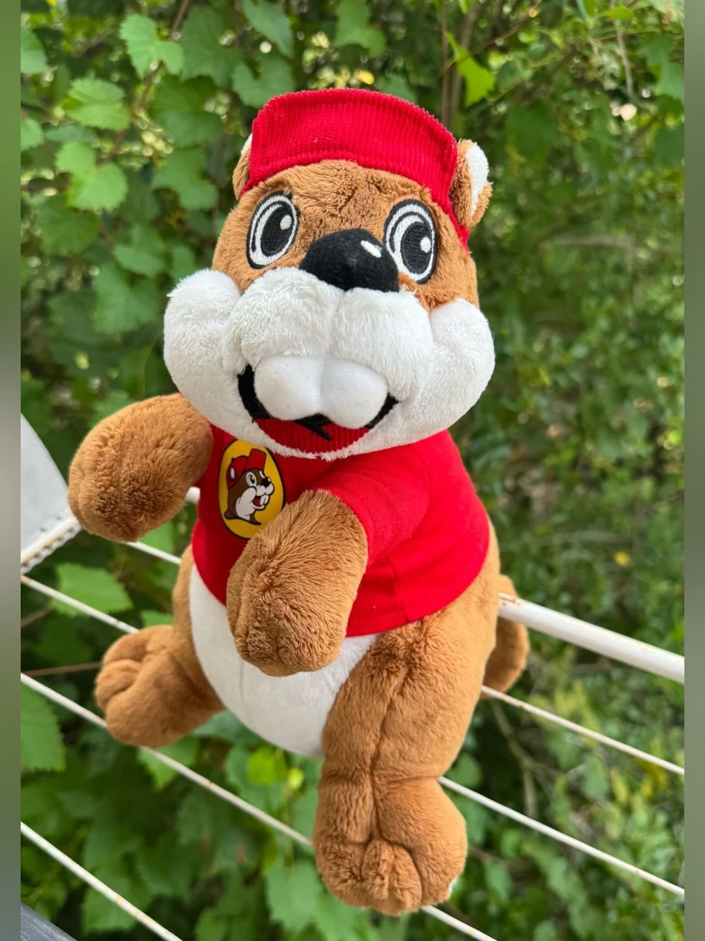 Buc-ees buc ee